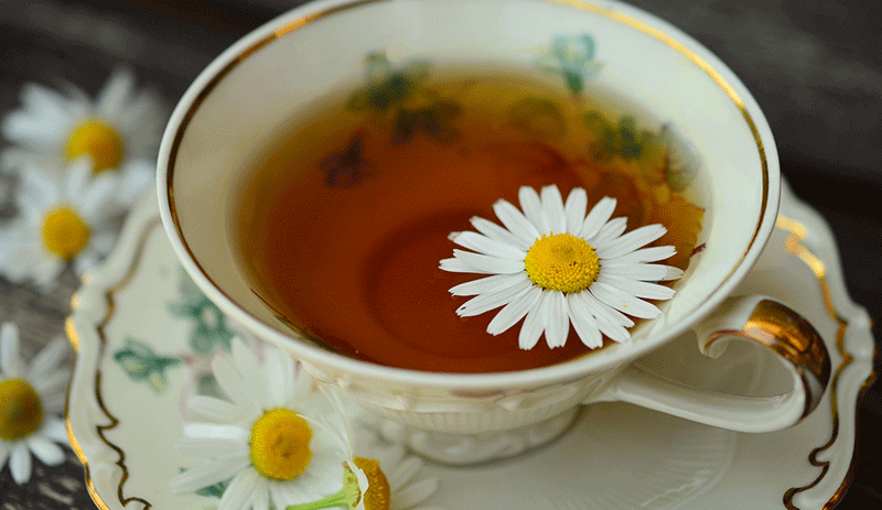 Even in sickness, there is tea: 6 Teas to deal with sickness