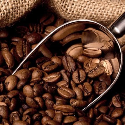 How is Robusta Coffee different from Arabica Coffee