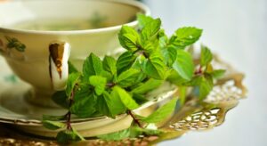 Read more about the article 10 Health Benefits of Green Tea